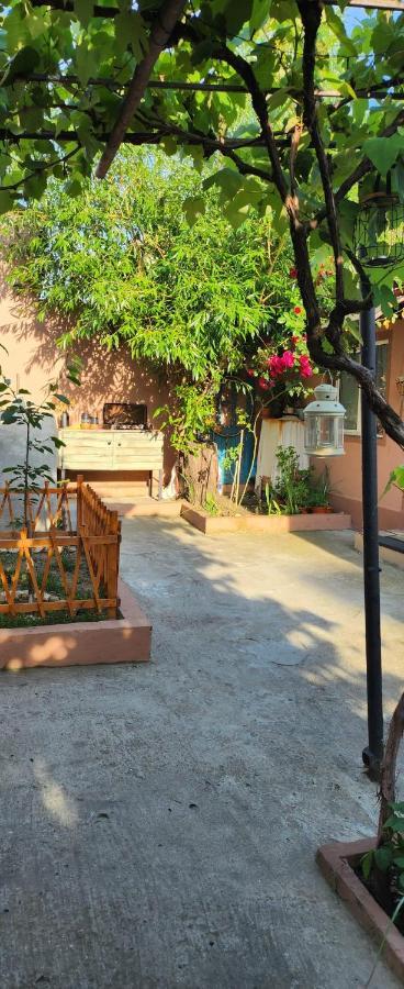 Casa Family Apartment Eforie Sud  Ngoại thất bức ảnh